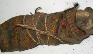 Ancient hallucinogens found in 1,000-year-old shamanic pouch