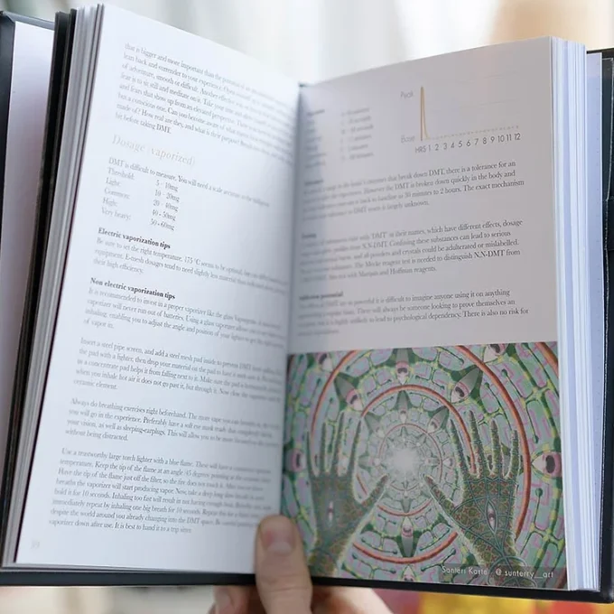 Psychedelic Substance and Harm Reduction Book