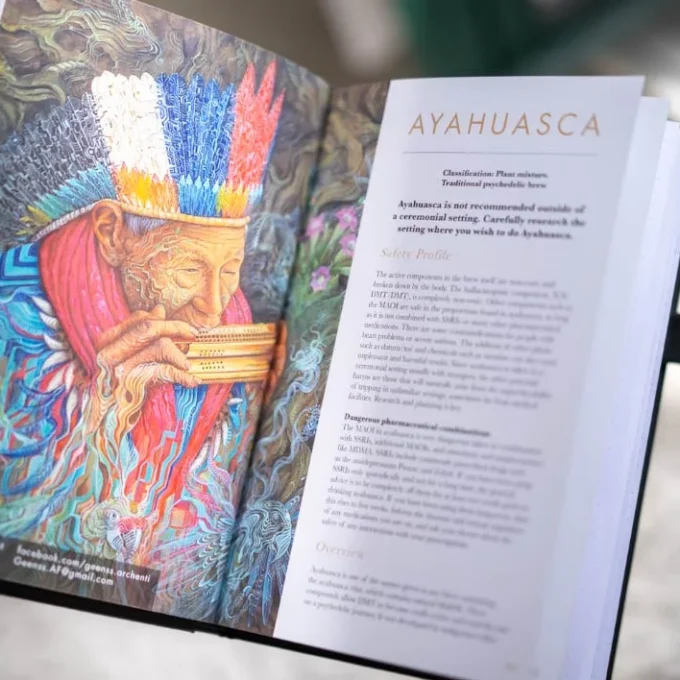 Portalbook - Psychedelic Journal & Guidebook - Image 11