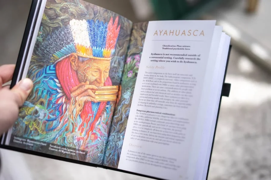 Portalbook - Psychedelic Journal & Guidebook